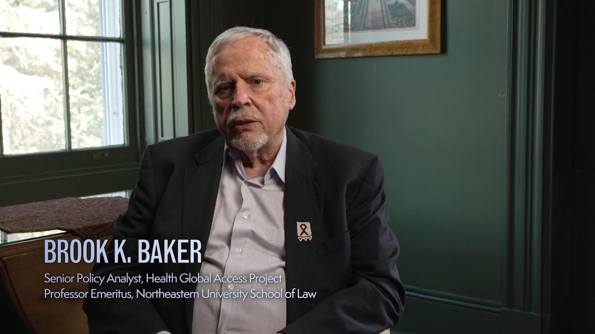 Professor Brook K. Baker